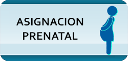 Asignacion Prenatal